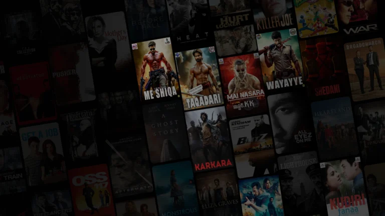 Indian Hausa Films in 2025